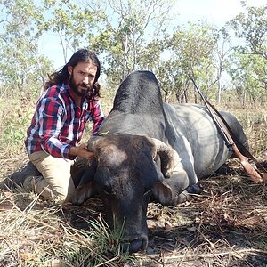 Wild Bull Hunting