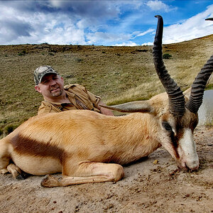 Copper Springbok Hunting Eastern Cape South Africa