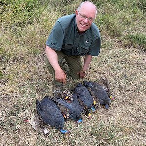 Guineafowl Hunt Tanzania