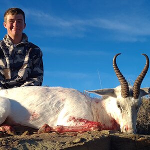 White Springbok Hunt Eastern Cape South Africa