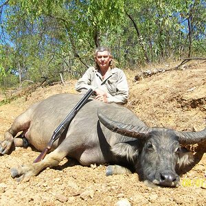 Asiatic Water Buffalo Hunt Australia