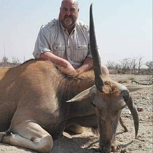 Unusual Eland Namibia