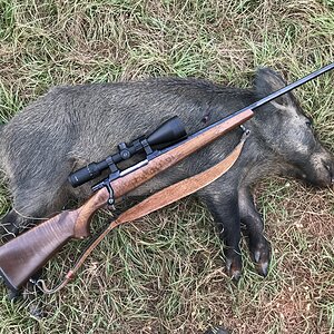 Pig Hunting