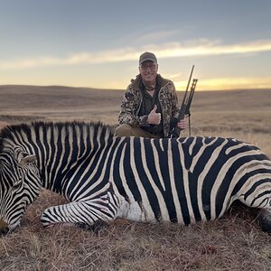 Zebra Hunt South Africa