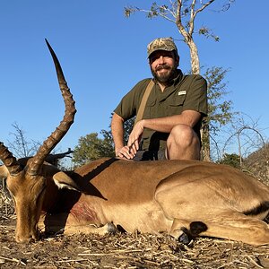 Impala Hunting Hwange Zimbabwe