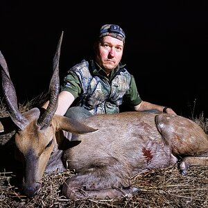 Bushbuck Hunt South Africa