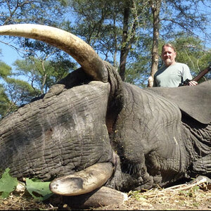 Elephant Hunting Zimbabwe