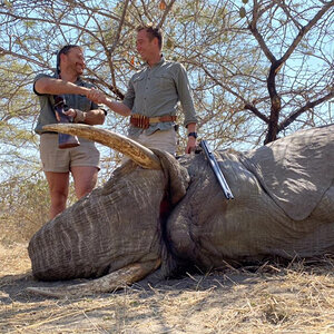 Elephant Hunting Zimbabwe