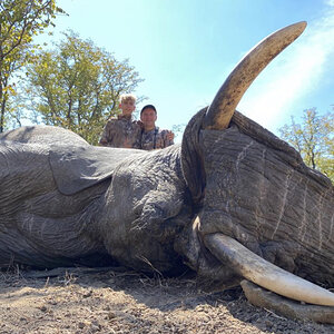 Elephant Hunting Zimbabwe