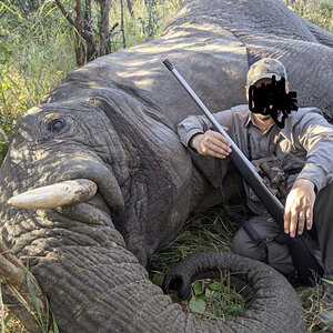 Elephant Hunting Zimbabwe