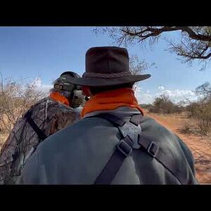 Shot at kudu