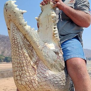 Crocodile Hunting Mozambique