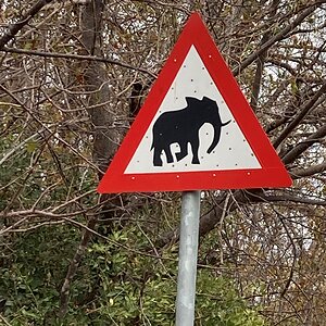 Elephant Warning Road Sign Mozambique