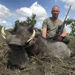Hunting Warthog Zambia