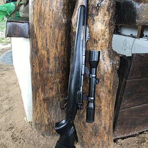 375 Cogswell & Harrison Mauser Rifle