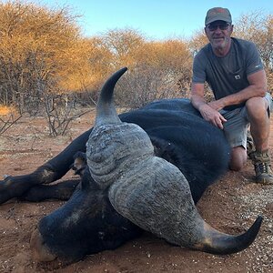 Hunting Buffalo South Africa