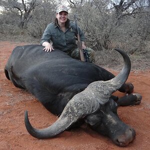 Hunting Buffalo South Africa
