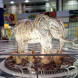 Elephant Built From Government Confiscated Ivory Tusks Gaborone Terminal Botswana