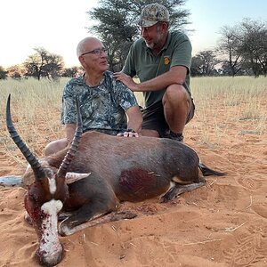 Blesbok Hunting Namibia