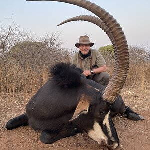 44 Inch Sable Hunting Limpopo South Africa