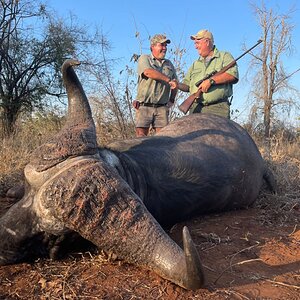 Buffalo Hunt Zimbabwe