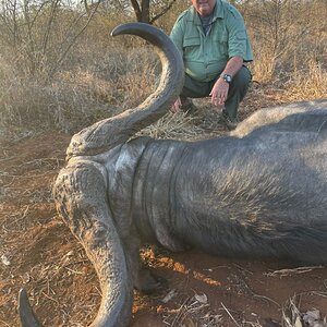 Buffalo Hunt Zimbabwe