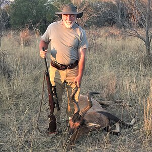 Red Hartebeest Hunting South Africa