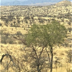 Scenery Khomas Highland Namibia