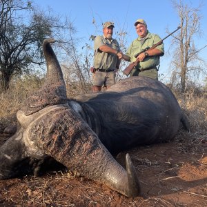 Buffalo Hunting Zimbabwe