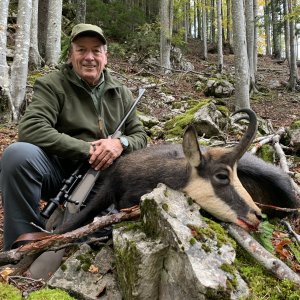 Austrian Chamois Hunt