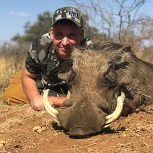 Warthog Bow Hunt South Africa