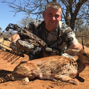 Steenbok Bow Hunt South Africa