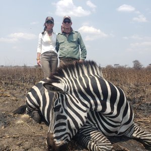 Zebra Hunting Tanzania