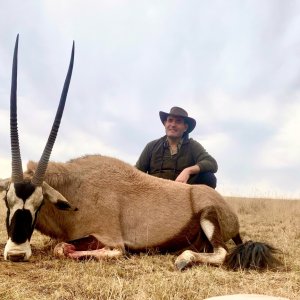 Gemsbok Hunt Eastern Cape South Africa