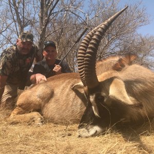 Roan Hunting South Africa