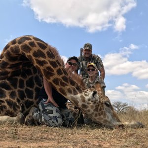 Giraffe Hunting South Africa