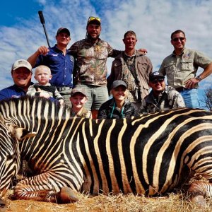 Zebra Hunt South Africa