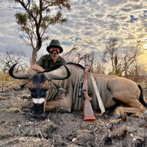 Nyasa Wildebeest Hunt Selous Game Reserve Tanzania