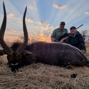 Nyala Hunting Free State South Africa