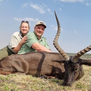 Black Impala Hunting Free State South Africa