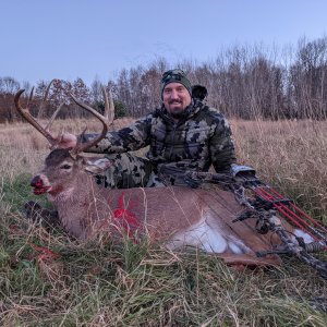 Whitetail Deer Bowhunt Canada