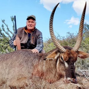 Waterbuck Hunting Eastern Cape South Africa