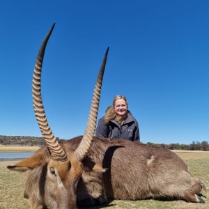 Waterbuck Hunting South Africa