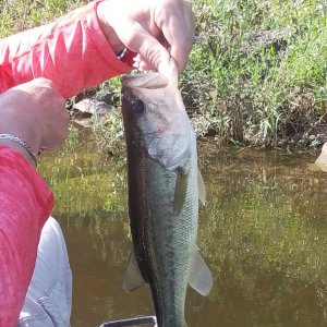 Bass Fishing Oklahoma