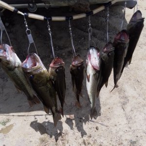 Bass Fishing Oklahoma