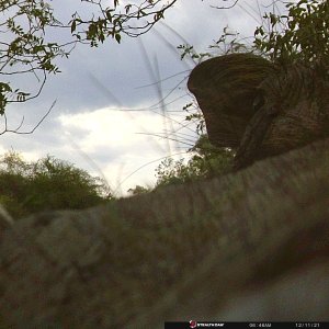 Takeri - Warthog selfie