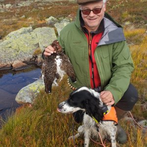 Grouse Hunting Norway