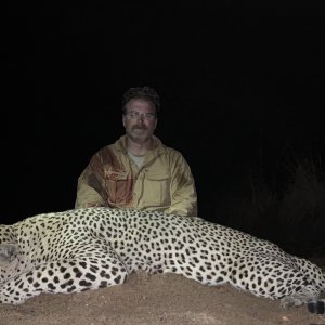Leopard Hunting Kwalata Safaris