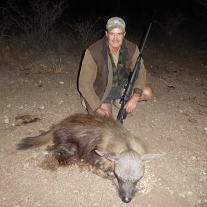 Brown Hyena Hunt