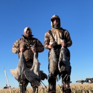 Geese Hunting Texas